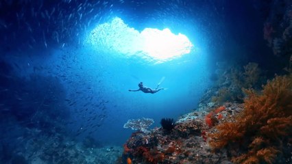 Alpitour contro la violenza sulle donne, panchine rosse nelle sedi