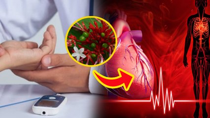 Sarpagandha Benefits For Diabetes: डायबिटीज में सर्पगंधा के फायदे, Sarpgandha Diabetes Remedy...