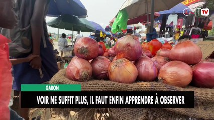 Gabon  voir ne suffit plus, il faut enfin apprend