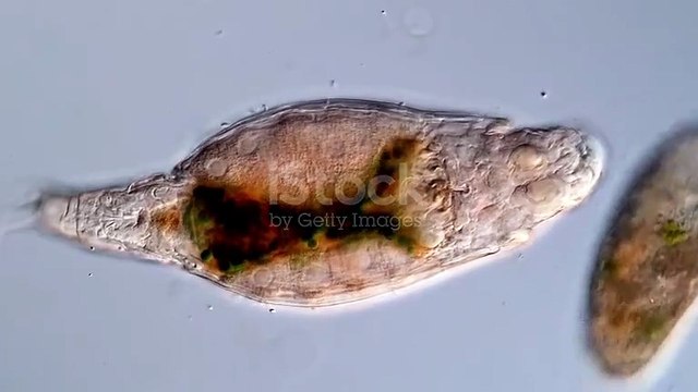 #outdoor adventure #challenge x #tent life #survival #vlog #survival vlog x #must watch #trying something new x