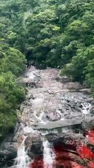 Passeio em cachoeira da Grande Florianópolis termina em resgate áereo; VÍDEO