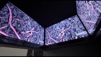 Il 5-7 dicembre la Giornata del Suolo: un convegno e tanti eventi