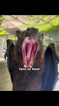 5 weird animal facts that'll leave you amazed #facts #animals #shorts #amazingfacts #viral