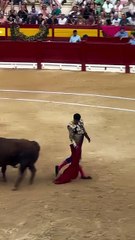 Alejandro Talavante acaba de indultar al extraordinario “Gavilán” de Núñez del Cuvillo en Alican