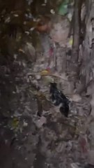 Médium Marabout Spécialité retour affectif rapide