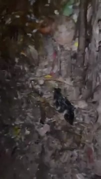 Médium Marabout Spécialité retour affectif rapide