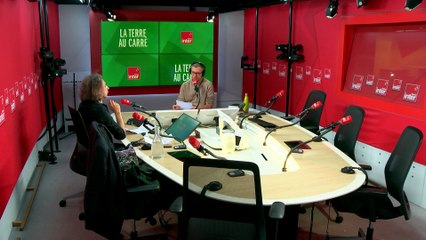 IA générative, histoire d’une dépossession annoncée - La terre au carré