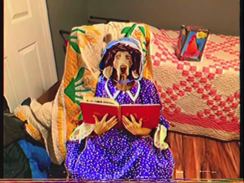 Sesame Street - William Wegman's Mother Goose (1997) Trailer (Remake HD VHS Capture Version)