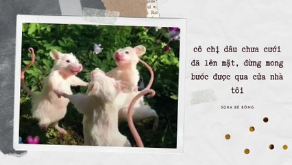 [Truyện Audio][FULL] CHỊ DÂU CHƯA CƯỚI ĐÃ LÊN MẶT ĐỪNG MONG BƯỚC ĐƯỢC QUA CỬA NHÀ TÔI