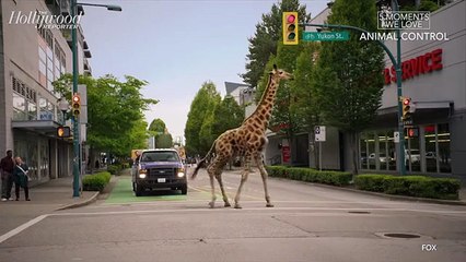 5 Moments We Love From Fox Comedy 'Animal Control' | THR Video