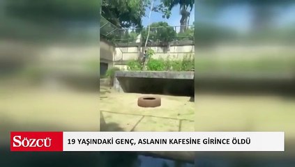 Güvenliği aşıp aslan kafesine giren 19 yaşındaki gencin trajik sonu