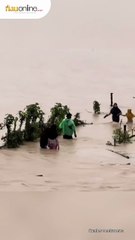 Momen Penyelamatan Seorang Bocah yang Terseret Arus