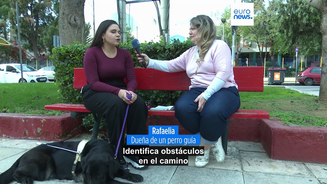 Los ojos que ven con el corazón: el poder de los perros guía