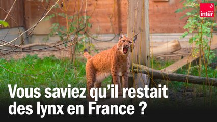 Carnet de Campagne - Centre Athénas