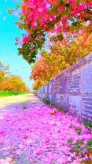 Crystal Clear Water – Paradise on Earth!