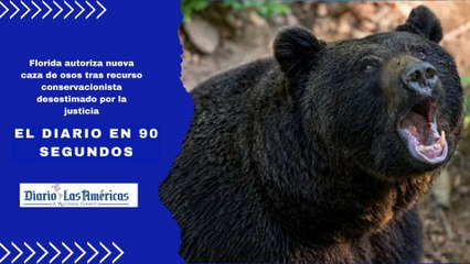 Florida autoriza nueva caza de osos tras recurso conservacionista desestimado por la justicia | El Diario en 90 segundo