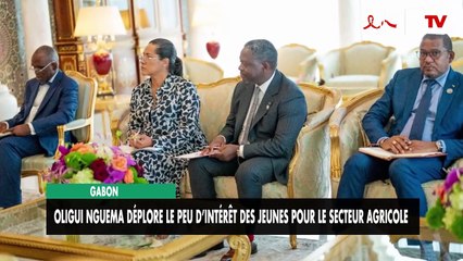 [#Journal] Le 19H30 du 01 décembre 2025