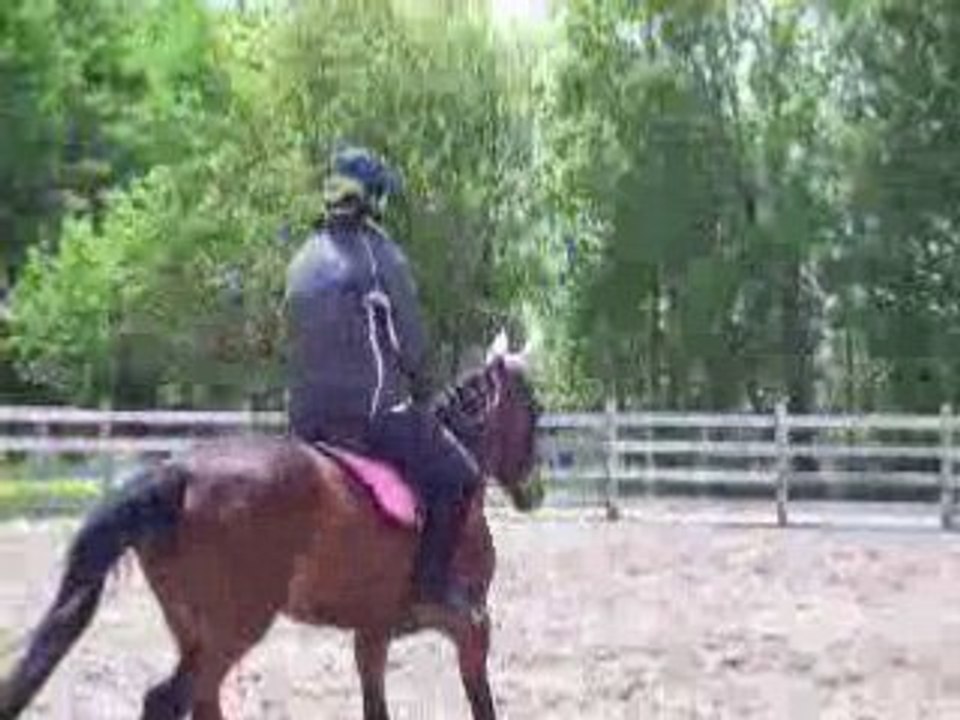 tamylee et tiffany