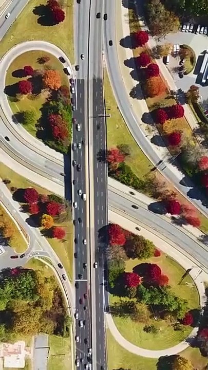 The Secret Recipe to Snatch a Billionaire #shortfilms #shortfilm #shortfilms #shortfilm - Tranquil Mind Space - loambition