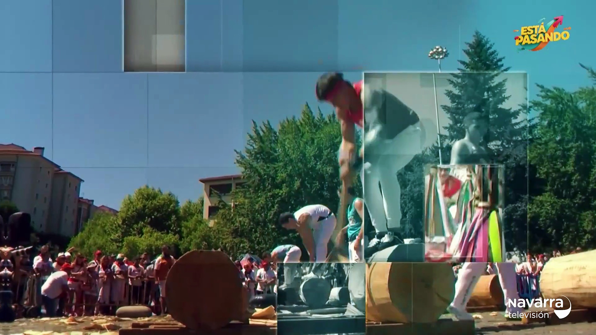 Navarra, la tierra que nos une