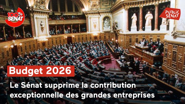 100% Sénat - Le Sénat rejette la contribution exceptionnelle des grandes entreprises
