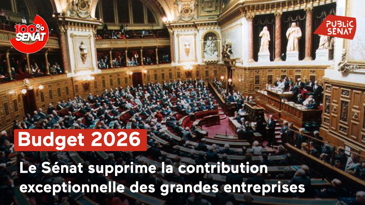 100% Sénat - Le Sénat rejette la contribution exceptionnelle des grandes entreprises