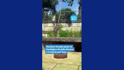 Homem invade jaula no Zoológico de João Pessoa e é morto por leoa