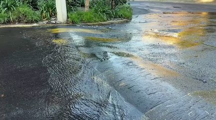 Fuga de agua alarma a vecinos de Lomas de Chapultepec