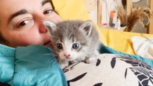 Woman Finds A TINY Kitten In Her Hostel While On Vacation