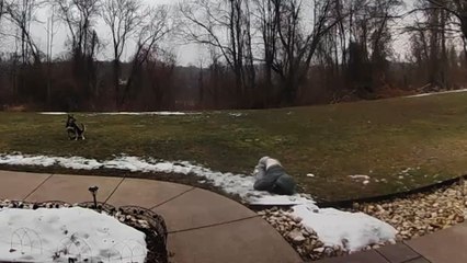 Hilarious Fails On Ice