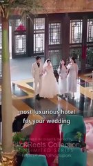 Spring Wind Embraces The Moon