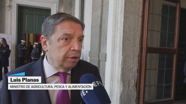 Peste porcina africana: Planas llama a la tranquilidad con el consumo de la carne