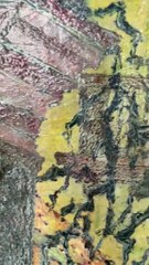 Francis MBELLA, énigmatique