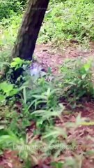 From Fifty To Fearless Rising To Rule All