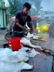 Cleaning a Duck 😳😳