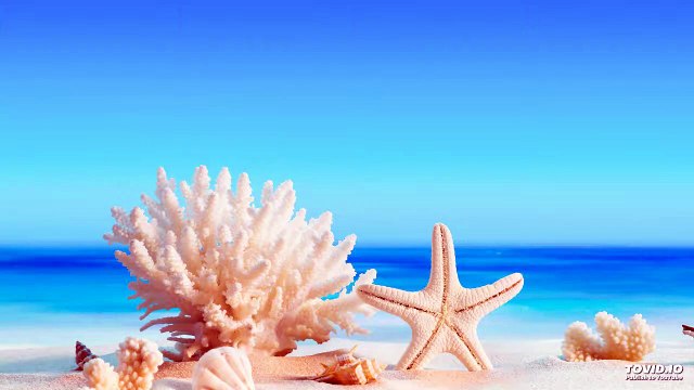 018שער העקודים פרק ה | Harav ariel sibeoni | Kabbale | secrets de la Torah | ochrot hayim