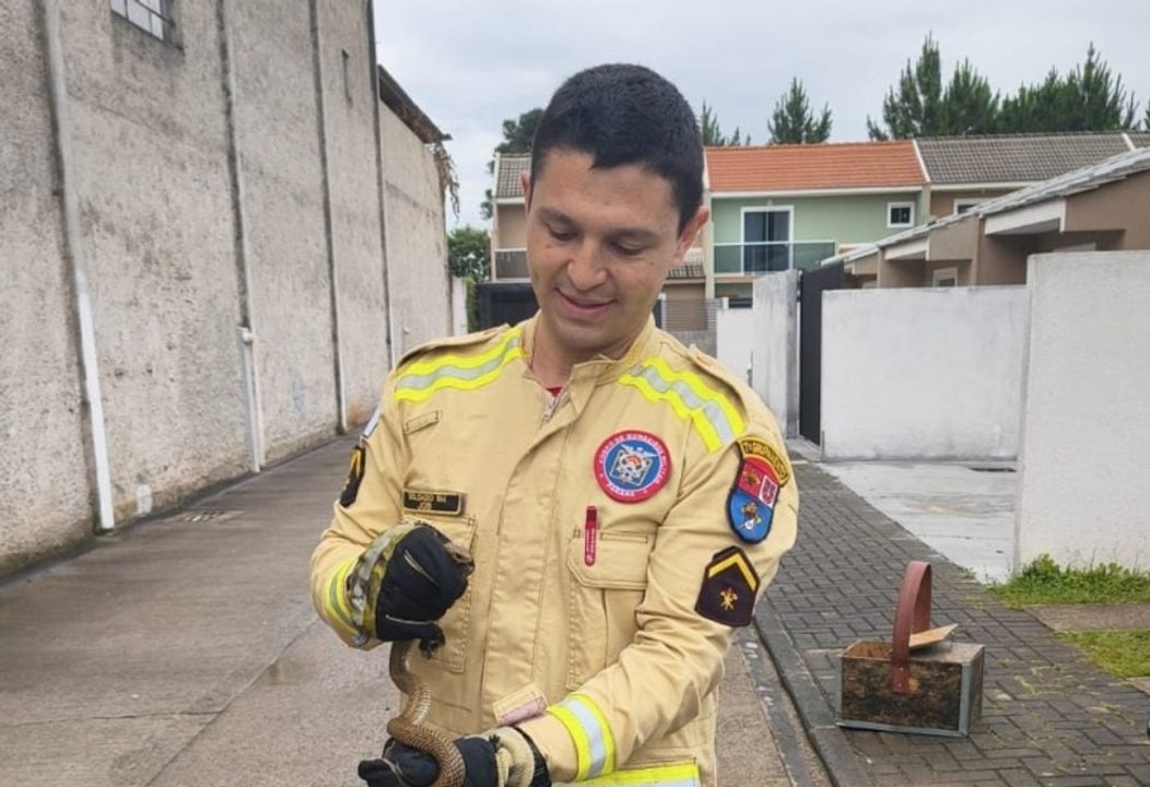 Cobra é encontrada em cama de criança no PR