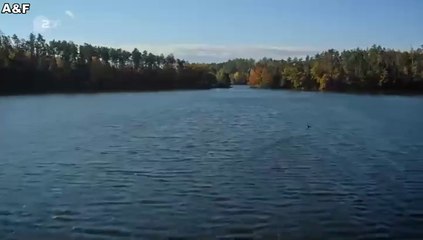 Theresa Wolff -01- Home Sweet Home