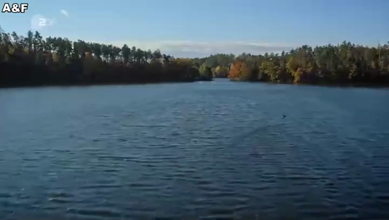 Theresa Wolff -01- Home Sweet Home