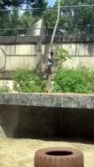 Jovem de 19 anos invade recinto de leoa e morre atacado em zoológico de João Pessoa