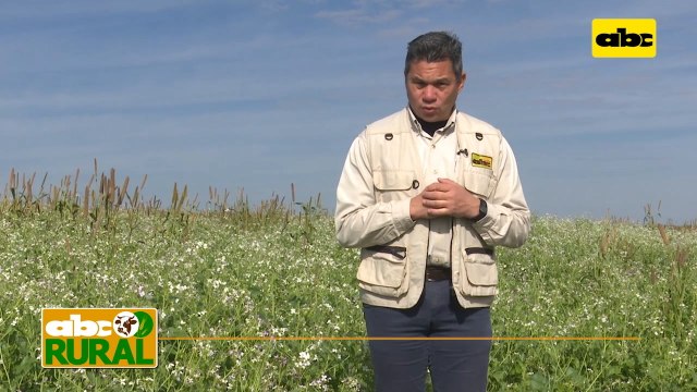 Abc Rural: Nutrición de precisión en vacas lecheras de alta producción