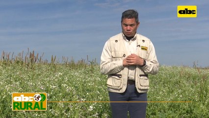 Abc Rural: Nutrición de precisión en vacas lecheras de alta producción