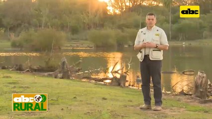 Abc Rural: Cría, recría y nutrición de ganado en el Chaco