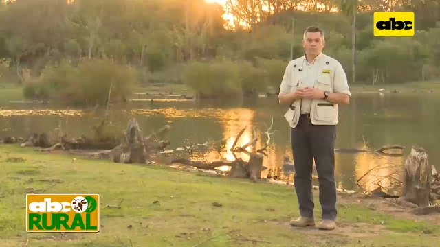 Abc Rural: Cría, recría y nutrición de ganado en el Chaco