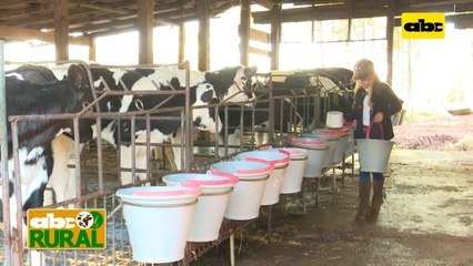 Abc Rural: Manejo nutricional de terneras al nacimiento