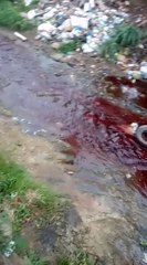 Detectan contaminación en el arroyo San Lorenzo