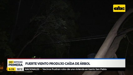 Fuerte viento produjo caída de un árbol