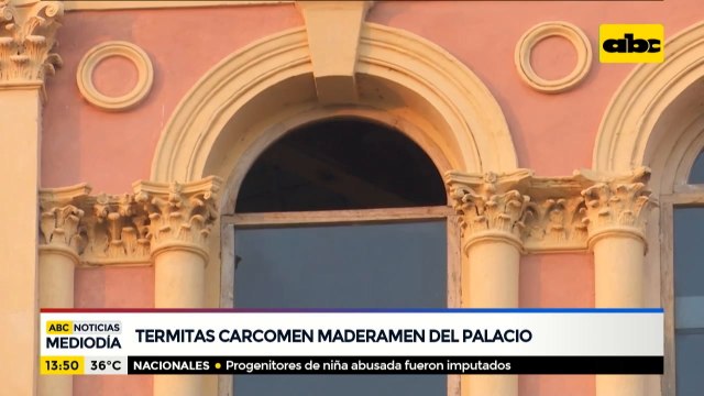 Termitas carcomen maderamen del Palacio de López