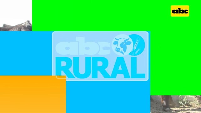 Abc Rural: Cría y nutrición de ganado en Alto Paraguay