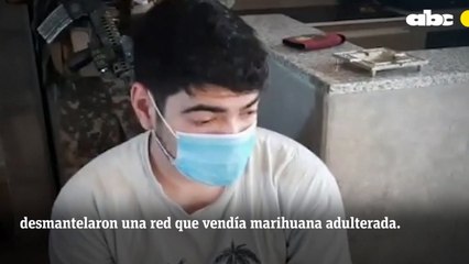 Operativo Gorilla Glue: desbaratan laboratorios de marihuana